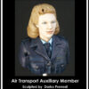 200-13 ATA member
