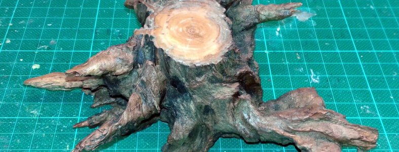 Experimental bases for free Base - A (2)