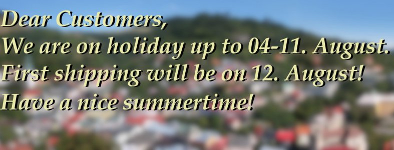 Holiday, 2019 Selmec borító2